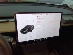 Tesla Model Y Standard Range RWD - ფოტო 13