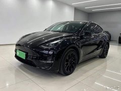Tesla Model Y Standard Range RWD - ფოტო 2
