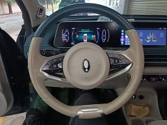 ORA Good Cat 400km Standard Range Athena Edition Ternary Lithium - ფოტო 11