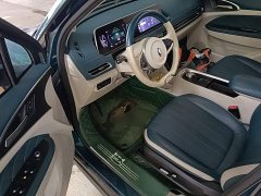 ORA Good Cat 400km Standard Range Athena Edition Ternary Lithium - ფოტო 16