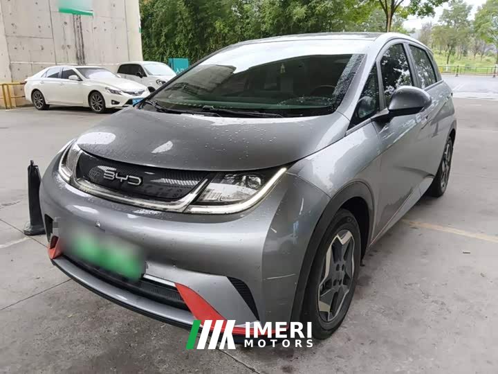 BYD Dolphin 405km Fashion Edition - ავტომობილი ჩინეთიდან