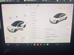 Tesla Model 3 Standard Range RWD Upgrade 3D6 - ფოტო 12