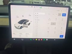 Tesla Model 3 Standard Range RWD Upgrade 3D6 - ფოტო 13