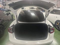 Tesla Model 3 Standard Range RWD Upgrade 3D6 - ფოტო 19