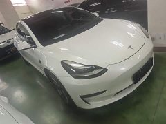 Tesla Model 3 Standard Range RWD Upgrade 3D6 - ფოტო 4