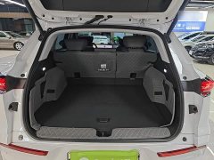 Buick E5 2023 Premium Standard Range Edition - ფოტო 19