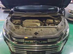 Maxus G50 2023 PLUS 1.5T Happiness Recommended Automatic Cruise Edition - ფოტო 20