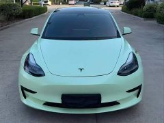 Tesla Model 3 Facelift Standard Range RWD Upgrade 3D1 - ფოტო 11