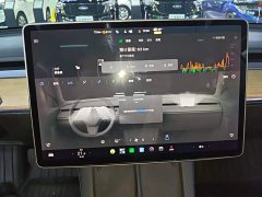 Tesla Model 3 Facelift Standard Range RWD Upgrade 3D1 - ფოტო 9