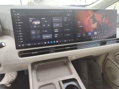 Great Wall WEY Shanshan New Energy Four-Wheel Drive Shanshan 8 - ფოტო 13
