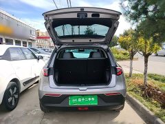 Geely Star Wish 2026 310km Youth Edition - ფოტო 19