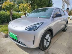 Geely Star Wish 2026 310km Youth Edition - ფოტო 2