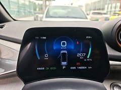 BYD Dolphin 405km Freedom Edition - ფოტო 12