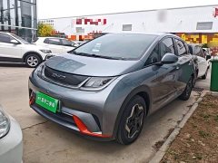 BYD Dolphin 405km Freedom Edition - ფოტო 2