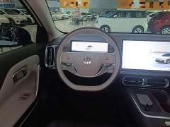 Leapmotor B01 650 Pleasure Edition - ფოტო 11