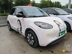 Wuling Binguo 410km Lingxi Premium Edition - ფოტო 4