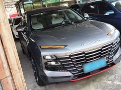 Jetour Jietu Dasheng 2022 1.6T DCT King SPORT - ფოტო 4