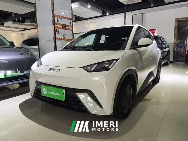BYD Seagull Glory Edition 305km Vitality Version - ავტომობილი ჩინეთიდან