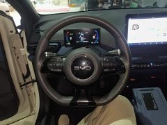 BYD Seagull Glory Edition 305km Vitality Version - ფოტო 11