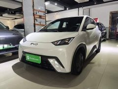 BYD Seagull Glory Edition 305km Vitality Version - ფოტო 2