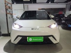 BYD Seagull Glory Edition 305km Vitality Version - ფოტო 3