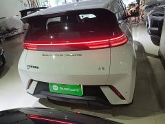 BYD Seagull Glory Edition 305km Vitality Version - ფოტო 6
