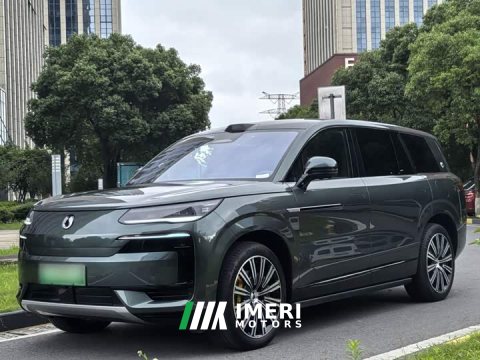 2025 Denza BYD Denza N9 Flagship - ავტომობილი ჩინეთიდან