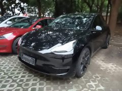 Tesla Model Y Performance All-Wheel Drive - ფოტო 1