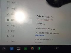 Tesla Model Y Performance All-Wheel Drive - ფოტო 12