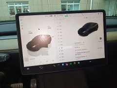 Tesla Model Y Performance All-Wheel Drive - ფოტო 13