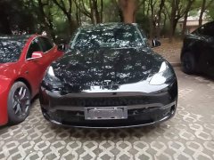 Tesla Model Y Performance All-Wheel Drive - ფოტო 3