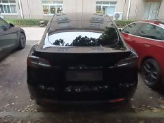 Tesla Model Y Performance All-Wheel Drive - ფოტო 6