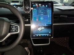 Neta V 2022 Trend 300 Lite Ternary Lithium - ფოტო 9