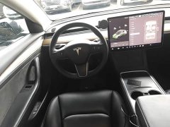 Tesla Model 3 Standard Range RWD Upgrade 3D6 - ფოტო 11