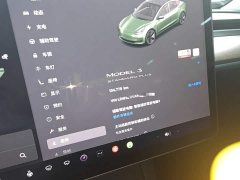 Tesla Model 3 Standard Range RWD Upgrade 3D6 - ფოტო 12