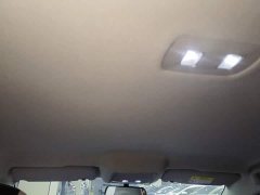 BYD Destroyer 05 Champion Edition DM-i 55KM Luxury - ფოტო 14