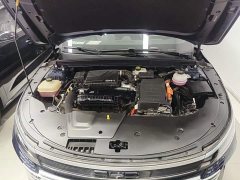 BYD Destroyer 05 Champion Edition DM-i 55KM Luxury - ფოტო 16