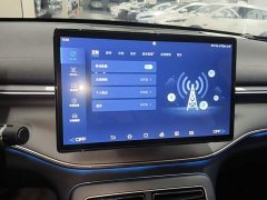 BYD Destroyer 05 Champion Edition DM-i 55KM Luxury - ფოტო 9