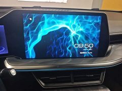Haval Divine Beast 1.5T Smart Enjoy Edition - ფოტო 13