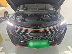 Haval Divine Beast 1.5T Smart Enjoy Edition - ფოტო 20