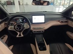 BYD Seagull Glory Edition 305km Freedom Version - ფოტო 10