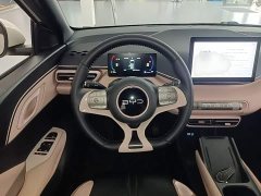 BYD Seagull Glory Edition 305km Freedom Version - ფოტო 11