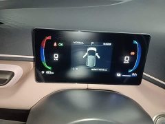 BYD Seagull Glory Edition 305km Freedom Version - ფოტო 12