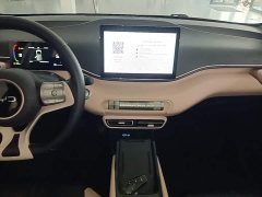 BYD Seagull Glory Edition 305km Freedom Version - ფოტო 13