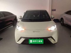 BYD Seagull Glory Edition 305km Freedom Version - ფოტო 3