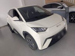 BYD Seagull Glory Edition 305km Freedom Version - ფოტო 4