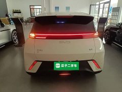 BYD Seagull Glory Edition 305km Freedom Version - ფოტო 6
