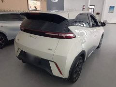BYD Seagull Glory Edition 305km Freedom Version - ფოტო 7
