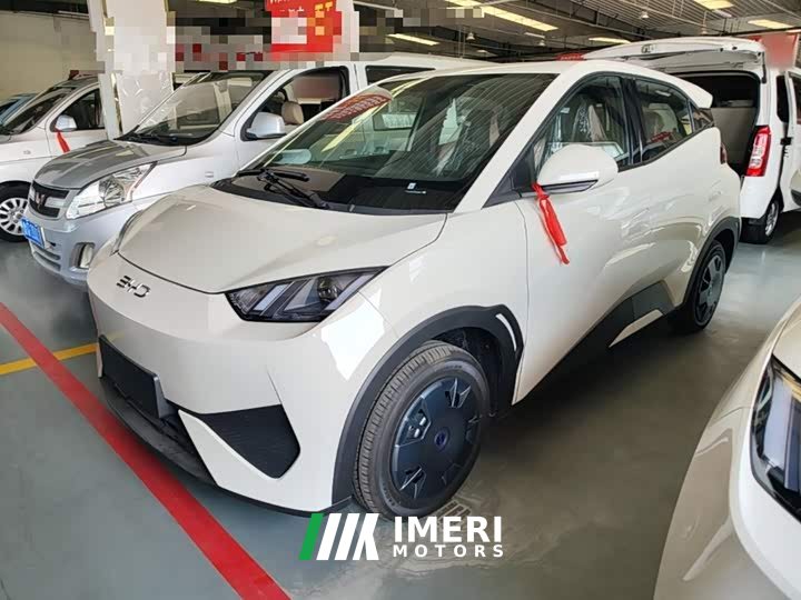 BYD Seagull 2025 Smart Drive 305km Vitality Edition - ავტომობილი ჩინეთიდან