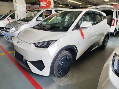BYD Seagull 2025 Smart Drive 305km Vitality Edition - ფოტო 1